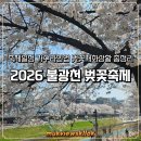 연일먹거리 | 2026 불광천 벚꽃축제 사전답사 후기 축제일정 가수라인업 벚꽃개화상황 까지 총정리