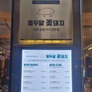 열두달꽃돼지 이미지