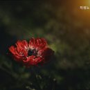 지성노인요양센터 | 파주요양원 지성노인요양센터 신뢰할 수 있는 요양 서비스