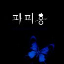 주식회사 세르 이미지