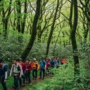 도구로1길 45 | 4월 단체여행 지금 예약해야 하는 이유 5가지