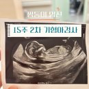 뉴본약국 | 쌍둥이 임신 13주 ~ 17주차 일상 | 아기물품 쇼핑(베이비페어,백화점), 2차기형아 검사결과, 끝나지않은...