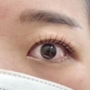 천안서초등학교 | [천안 속눈썹펌] 성정동 속눈썹펌 인상이 또렷해지는 영양+블랙틴팅펌