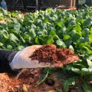 현진2농장 이미지