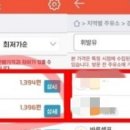 싱글벙글주유소 세계일보