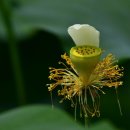 천생연분마을 이미지