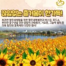 [테마2024년 10월 13일 일요일]장성의 새로운 명품길 "장성호 수변길담양 =장성황룡강 &노란꽃잔치축제경유 트레킹안내 이미지