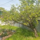 남한산성면-3 이미지