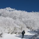 충무여관 이미지