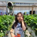 용인대다사랑태권도 이미지