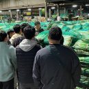 진도청과 이미지