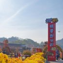 하늘후문약국 이미지