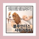 길주로425번길 이미지