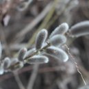 이시돌쉼터 이미지