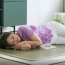 꿀잠자리 이미지