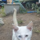 신왕농장 이미지