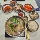 돈곰 | 진주경상대주변 국밥/ 돈곰당/ 고기 곰탕 후기