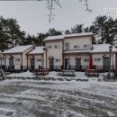 설악 대문터 계곡 펜션 | 양양펜션 설악대문터펜션 소나무숲 속 힐링