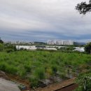 이연옥농장 이미지