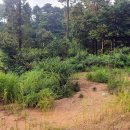 사창리공영주차장2 이미지