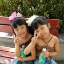 숲속나라 이미지