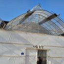 새소리농장 | 아이랑 가기좋은 부천 대장동 나눔농장 동물 먹이주기 체험 솔직후기