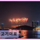 물고기 미포 네이버블로그