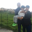 준호목장 이미지