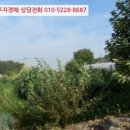 교동면-3 이미지