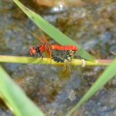 곡성 월봉 이미지