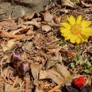 치유농장 연원당 이미지