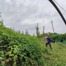 임동농장 이미지