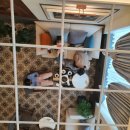 살론드에반 이미지