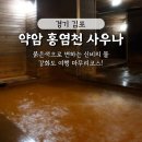약암홍염천관광호텔 | 강화도 여행코스 마무리 온천, 붉은 색의 물 '약암 홍염천 사우나' 약암관광호텔