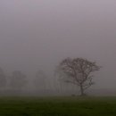 샛별목장 이미지