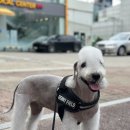 비타민동물메디컬센터 이미지