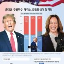 '극과 극' 트럼프 vs 해리스…가까운 건 '2%P차' 지지율뿐 이미지