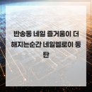 엘로이네일 | 반송동 네일 즐거움이 더해지는순간 네일엘로이 동탄