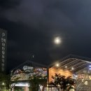 광안리 핫플 밀락더마켓 야시장 다녀온 후기