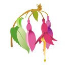 디자인클립 이미지