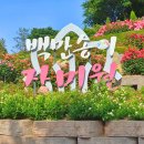 어울마당 입구(32) | 5월 부천 장미축제 백만송이장미원 주차장 개화시기 준비물