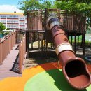 일산초등학교 이미지