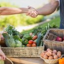 동국마음요양병원 | 동국대학교일산장례식장 장례비용 후기 시장 채소가게 사장님의 마지막 길 더추모상조와 함께한 정찰제...