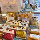 오성제 | 전주근교카페 완주 카페오성제 후기 애견동반가능한 BTS 촬영지