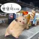 밤이 찾아와도 어둠이 내리지 않는