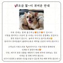 희샵 네이버블로그