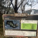 부산 하단_분위기 좋은 라떼맛집 [카페순덕],을숙도 현대미술관 방문