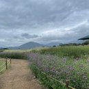 미래프라자 이미지