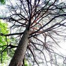 갈천리경로당 이미지