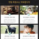 녹색건강원 - 여수시 신월로 621 | 녹색건강원